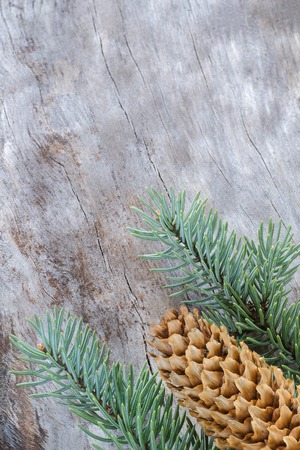 Christmas composition: Fresh branches of blue spruce with cones on aged wooden background. Top view.の写真素材