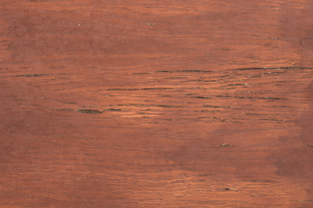 Walnut wood texture closeup.の写真素材