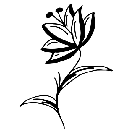 Engraved hand drawn illustrations of abstract flower isolated on white. Hand drawn vector flower.のイラスト素材