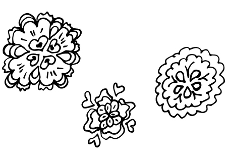 Engraved Vector Hand Drawn Illustrations Set Of Three Abstract Flowers Isolated on White. Hand Drawn Sketch of a Flowers.のイラスト素材