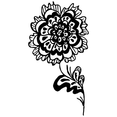 Engraved Vector Hand Drawn Illustrations Of Abstract Rose Flower Isolated on White. Hand Drawn Sketch of a Flower.のイラスト素材