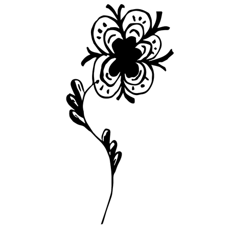 Engraved Vector Hand Drawn Illustrations Of Abstract Rose Flower Isolated on White. Hand Drawn Sketch of a Flower.のイラスト素材
