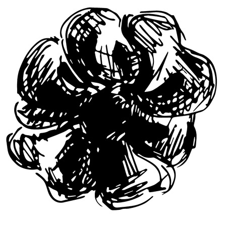 Engraved Vector Hand Drawn Illustrations Of Abstract Rose Flower Isolated on White. Hand Drawn Sketch of a Flower.のイラスト素材