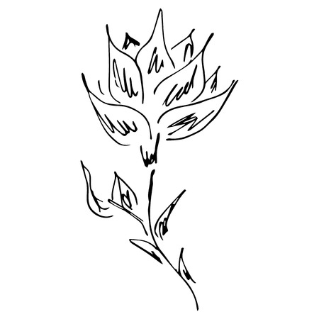 Hand Drawn Illustrations Of Abstract Flowers Isolated on White. Hand Drawn Sketch of a Flower.のイラスト素材