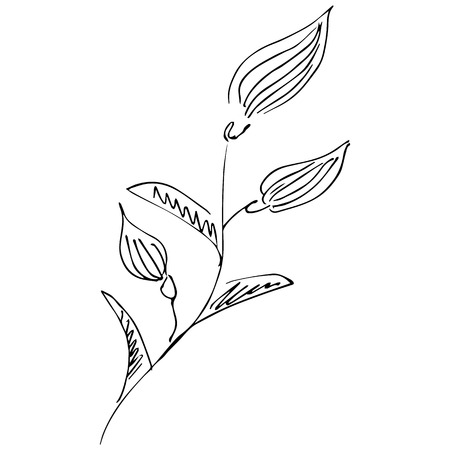 Hand Drawn Vector Illustration Of Abstract Flower Isolated on White. Hand Drawn Sketch of a Flower.のイラスト素材
