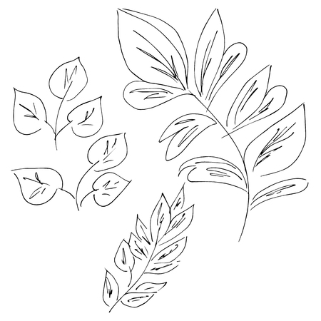 Hand Drawn Vector Illustrations Of Abstract Set of leaves Isolated on White. Hand Drawn Sketch of a leaves.のイラスト素材
