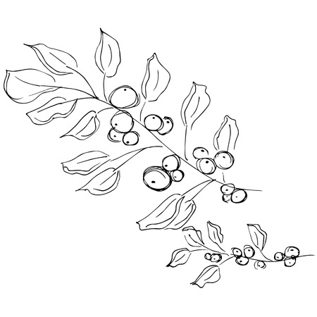 Hand Drawn Vector Illustrations Of Abstract Set of leaves Isolated on White. Hand Drawn Sketch of a leaves.のイラスト素材