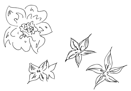 Hand Drawn Vector Illustrations Of Abstract Set of Flowers Isolated on White. Hand Drawn Sketch of a Flowers.のイラスト素材