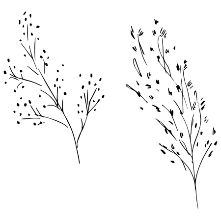 Hand Drawn Vector Illustrations Of Abstract Set of leaves Isolated on White. Hand Drawn Sketch of a leaves.のイラスト素材