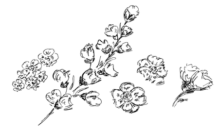 Hand Drawn Vector Illustrations Of Abstract Set of Flowers Isolated on White. Hand Drawn Sketch of a Flowers.のイラスト素材
