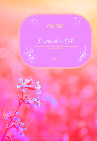 Beauty lavender skin care design. Graphic sketches with lavender. Vector illustrationのイラスト素材