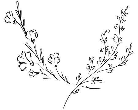 Illustrations Of Two Branches With Flowers and Leaves Isolated on White.の写真素材