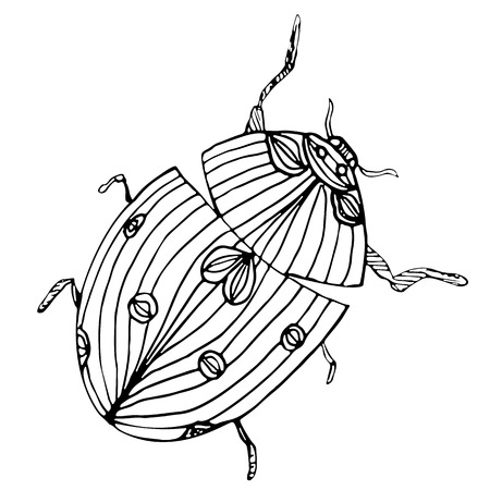 Abstract vector illustration of ladybug or ladybird isolated on white background. Ink drawing, graphic style. Outline sketch.のイラスト素材