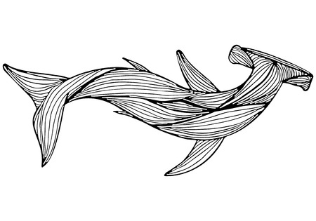 Abstract hand drawn giant hammer shark isolated on white background. Vector illustration. Outline. Line art. Top view.のイラスト素材