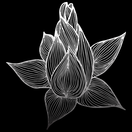 Abstract hand drawn lotus flower isolated on black background. Vector illustration. Outline sketch. Top view.のイラスト素材