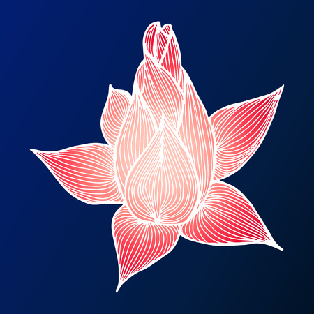 Abstract hand drawn lotus flower. Vector illustration. Outline sketch. Top view.のイラスト素材