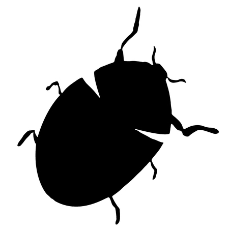 Abstract vector illustration of ladybug or ladybird silhouette isolated on white background. Ink drawing, graphic style.のイラスト素材