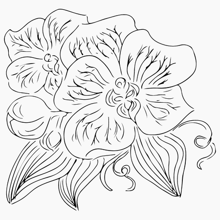 Hand drawn illustration of orchid flower isolated on white background. Hand drawn illustration. Line art. Outline.の写真素材