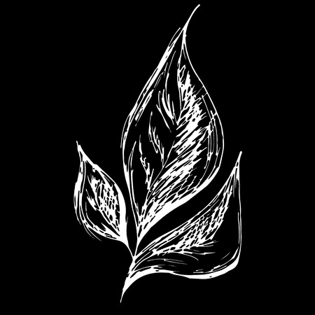 Abstract bay leaf outline icon isolated on black background. Creative luxury fashion logotype concept icon. Hand Drawn vector illustration. Laurel logo.のイラスト素材
