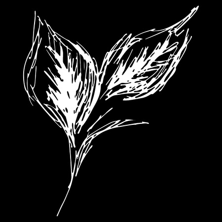 Abstract bay leaf outline icon isolated on black background. Creative luxury fashion logotype concept icon. Hand drawn vector illustration. Laurel logo. Sketch.のイラスト素材