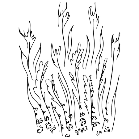 Abstract hand drawn rice isolated on white background. Rice vector outline icon. Line art.のイラスト素材