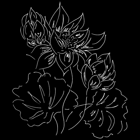 Abstract hand drawn lotus flower isolated on black background. Vector illustration. Outline sketch.のイラスト素材