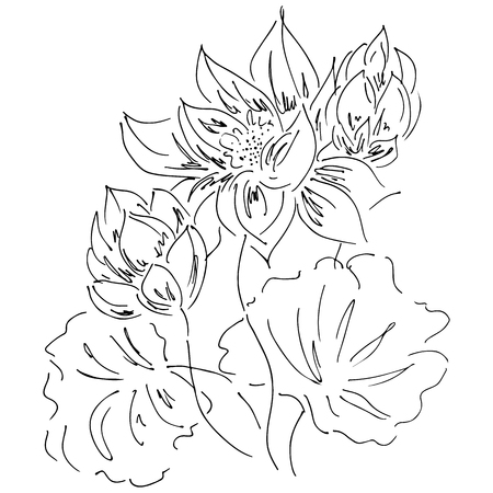 Abstract hand drawn lotus flower isolated on black background. Vector illustration. Outline sketch.のイラスト素材