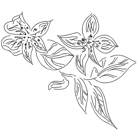 Abstract hand drawn lotus flower isolated on white background. Vector illustration. Outline sketch. Top view.のイラスト素材