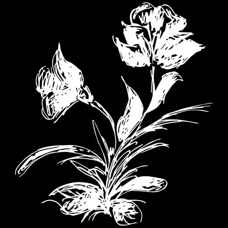 Abstract wildflowers outline icon isolated on black background. Creative luxury fashion logotype concept icon. Hand Drawn vector illustration.のイラスト素材