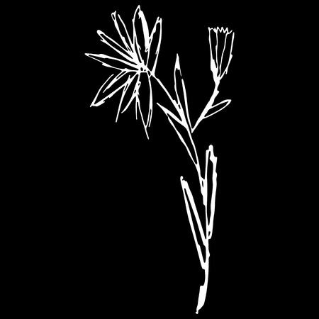 Abstract wildflowers outline icon isolated on black background.のイラスト素材