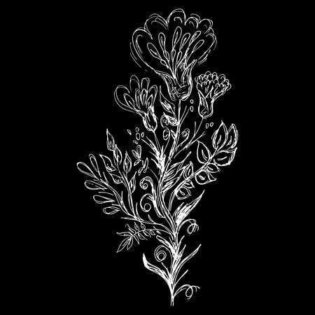 Abstract wildflowers outline icon isolated on black background.のイラスト素材