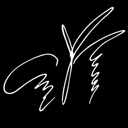 Abstract vector illustration of hand drawn butterfly isolated on black background. Ink drawing, graphic style. Outline.のイラスト素材