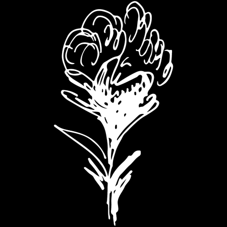 Abstract cotton branch outline icon isolated on black background.のイラスト素材