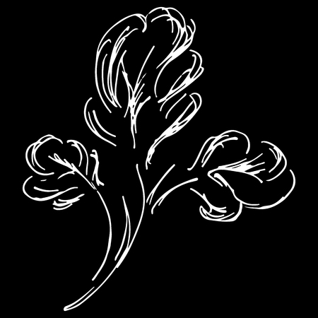 Abstract cotton branch outline icon isolated on black background.のイラスト素材