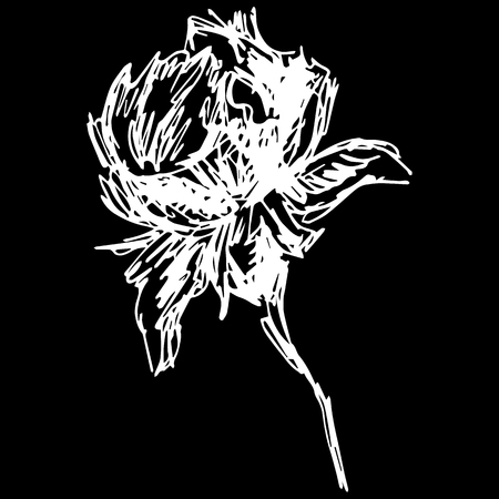 Abstract rose flower outline icon isolated on black background.のイラスト素材