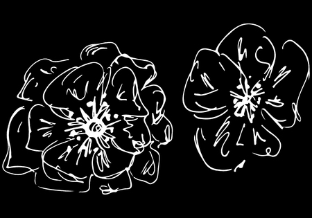 Two abstract wildflowers isolated on black background.のイラスト素材
