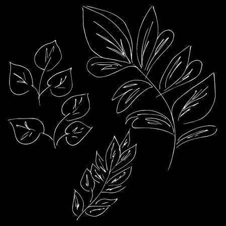 Abstract wildflowers isolated on black background.のイラスト素材