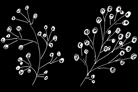 Abstract berries isolated on black background.のイラスト素材