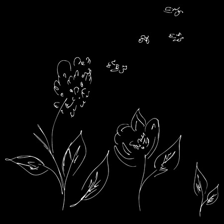 Abstract blossom wildflowers isolated on black background.のイラスト素材