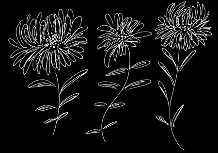 Abstract dandelion flower outline icon isolated on black background.のイラスト素材