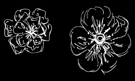 Two abstract wildflowers isolated on black background.のイラスト素材