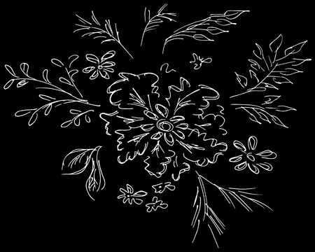 Abstract wildflowers isolated on black background. Hand Drawn vector illustration. Outline.のイラスト素材
