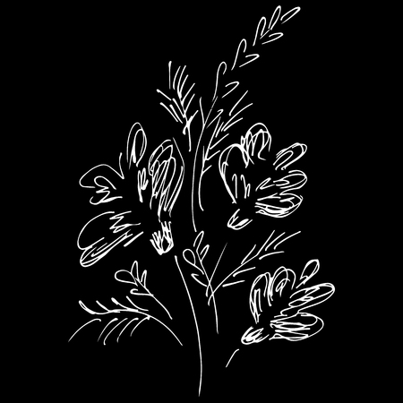 Abstract wildflowers isolated on black background. Hand Drawn vector illustration. Outline.のイラスト素材