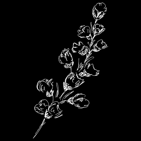 Abstract cotton branch outline icon isolated on black background.のイラスト素材