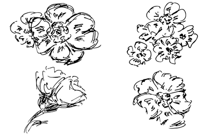 Hand drawn wild flowers set isolated on white background.のイラスト素材