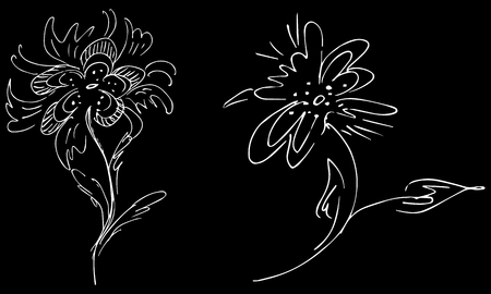 Two abstract wildflowers isolated on black background. Hand Drawn vector illustration. Wildflowers collection. Outline set.のイラスト素材