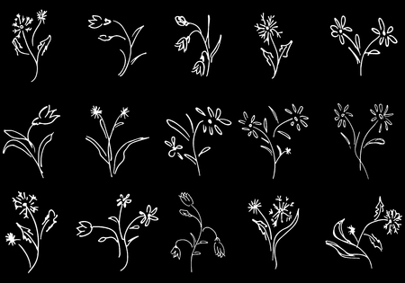 Flowers and branches hand drawn collection isolated on black background. 15 Floral graphic elements. Big vector set. Outline collection.のイラスト素材