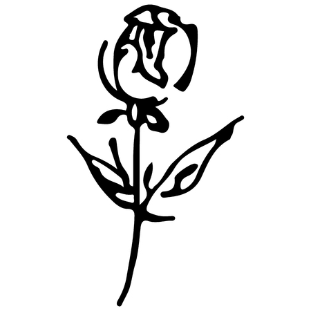 Abstract hand drawn rose flower isolated on white background. Rose flower vector outline icon. Line art. Close up.のイラスト素材