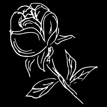 Abstract hand drawn rose flower isolated on black background. Rose flower vector outline icon. Line art. Close up.のイラスト素材