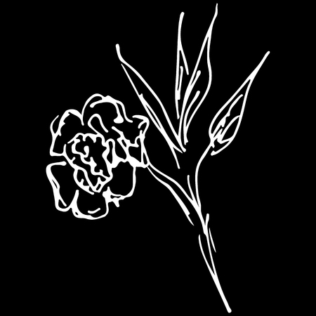 Abstract hand drawn rose flower isolated on black background. Rose flower vector outline icon. Line art. Close up.のイラスト素材